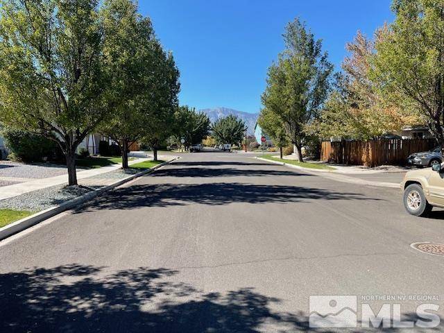 Gardnerville, NV 89410,1425 Honey Locust AVE Avenue