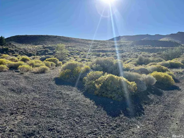 Dayton, NV 89403,1 Sheep CP Camp