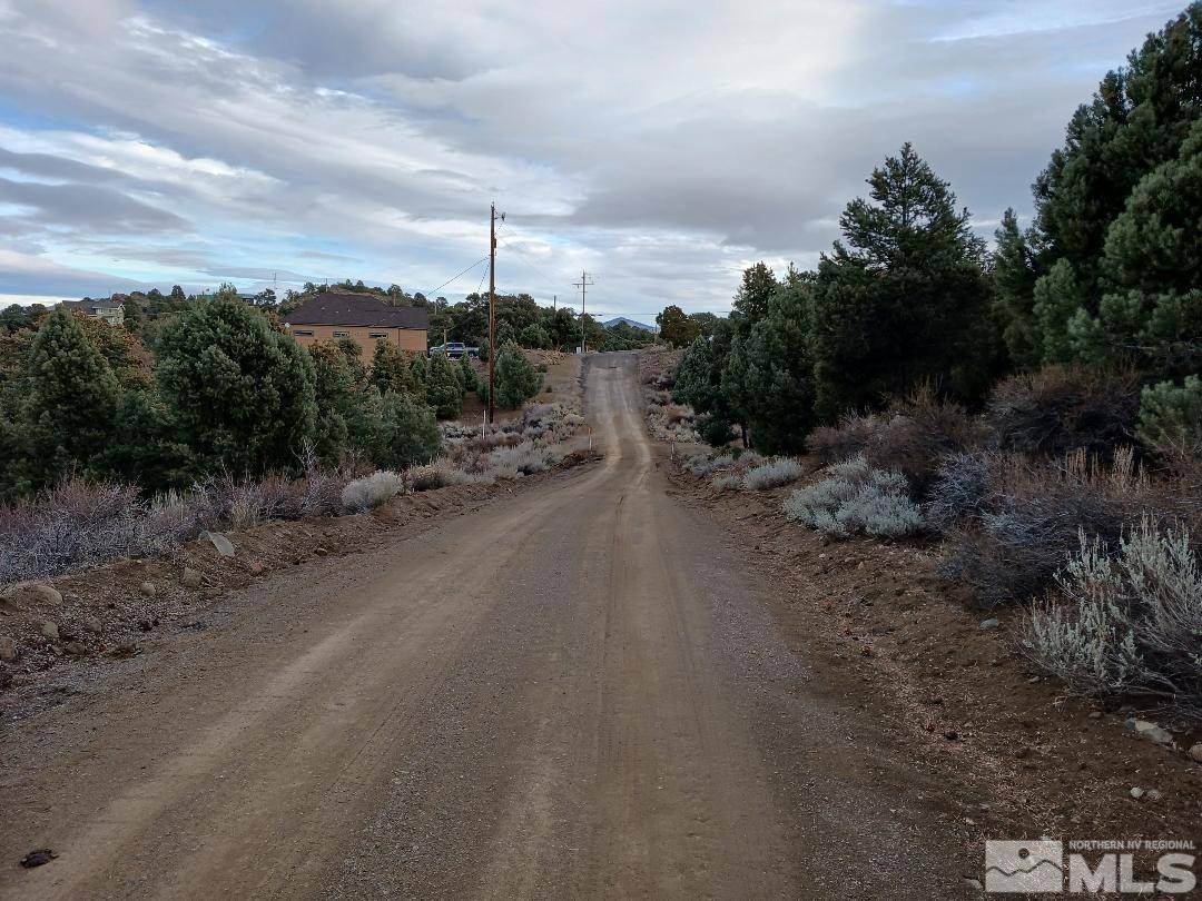 Reno, NV 89521,21330 Sazarac RD Road