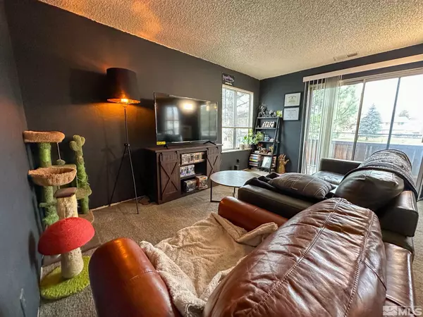 Reno, NV 89502,4608 Neil RD Road #246