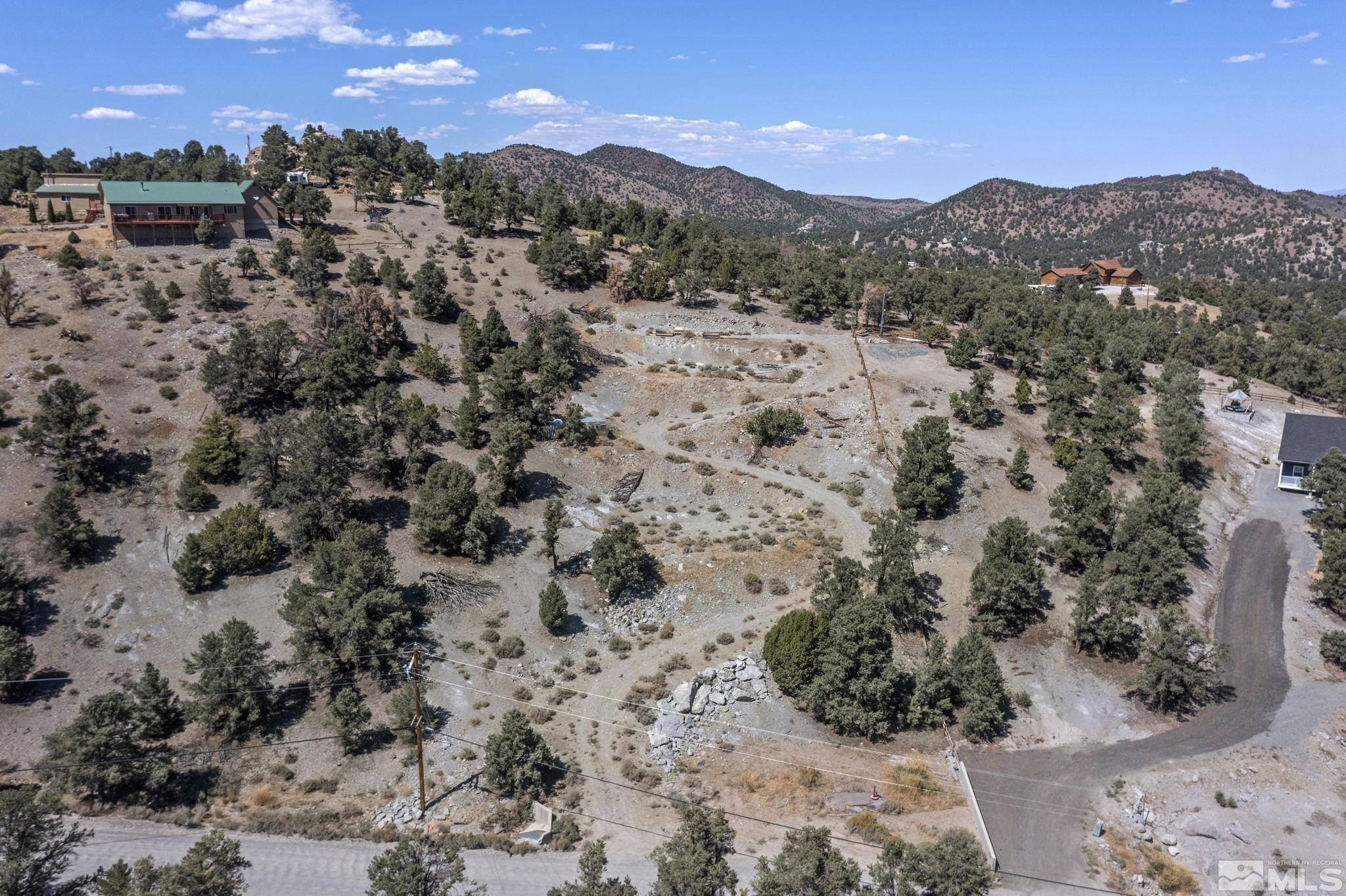 Reno, NV 89521,21490 Sazarac RD Road