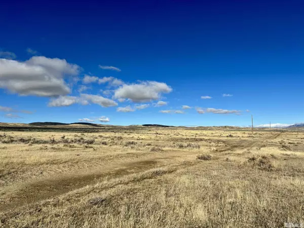 Winnemucca, NV 89445,41.93 Acres Sierra Pass RD Road