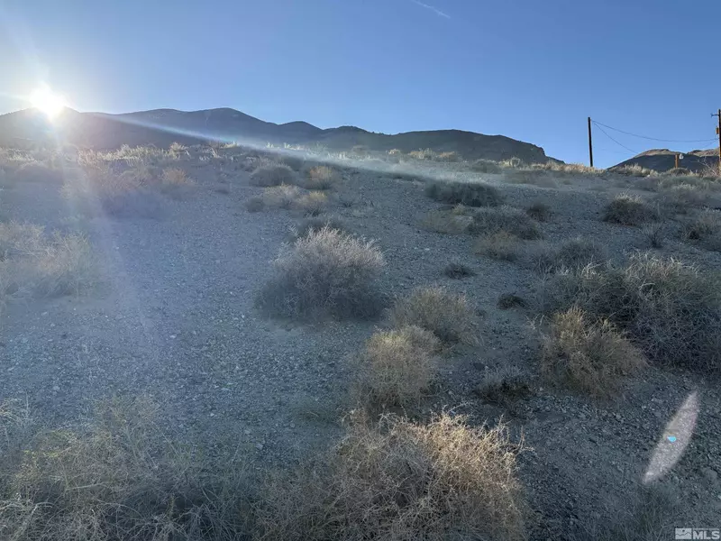 398 Walker DR Drive, Walker Lake, NV 89415