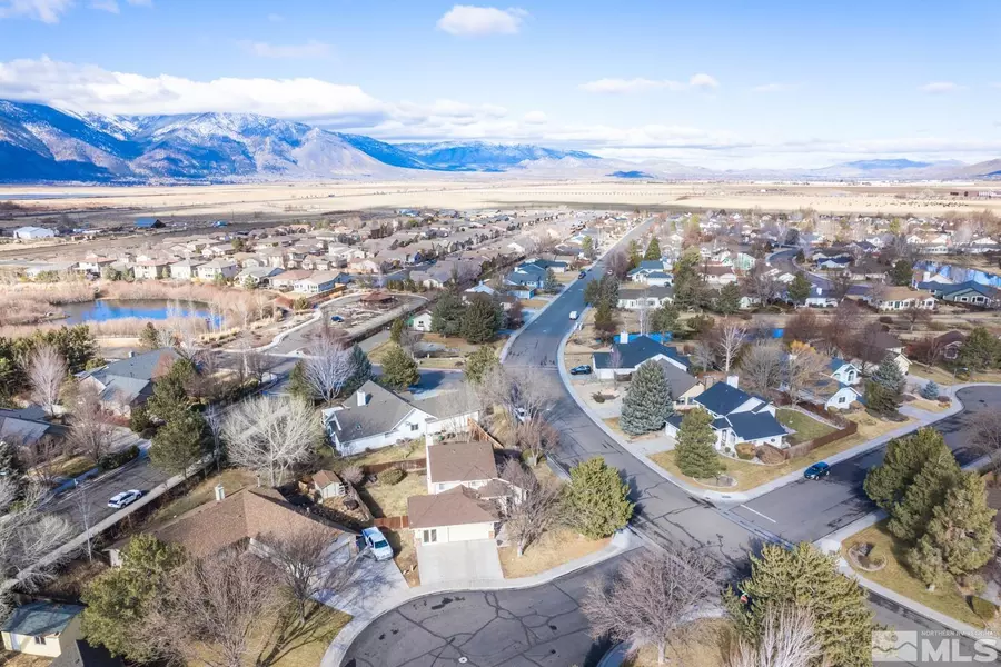 1720 Marigold CT, Minden, NV 89423