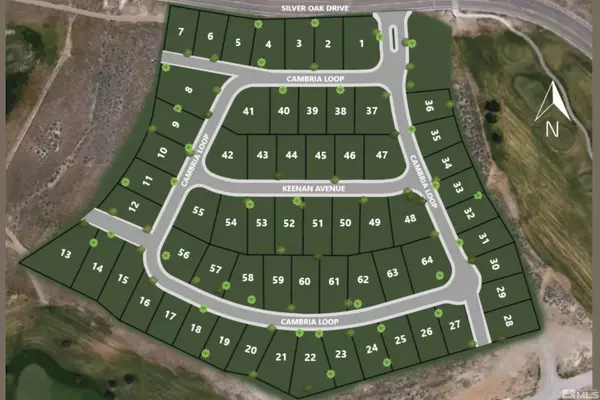 Carson City, NV 89703,3686 Cambria LOOP Loop