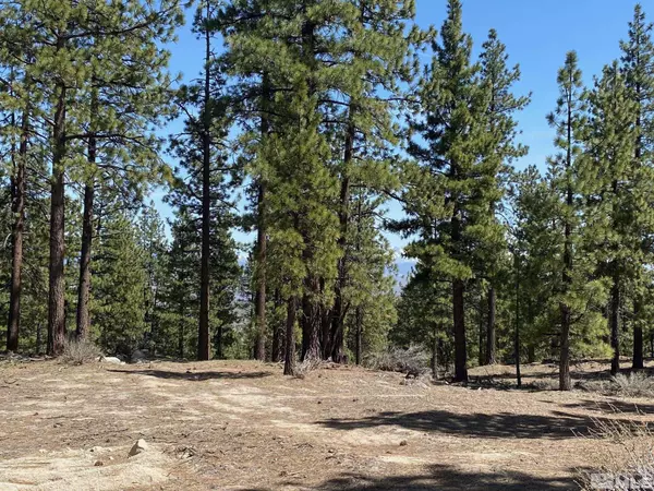 Carson City, NV 89705,3503 Golf Club DR Drive