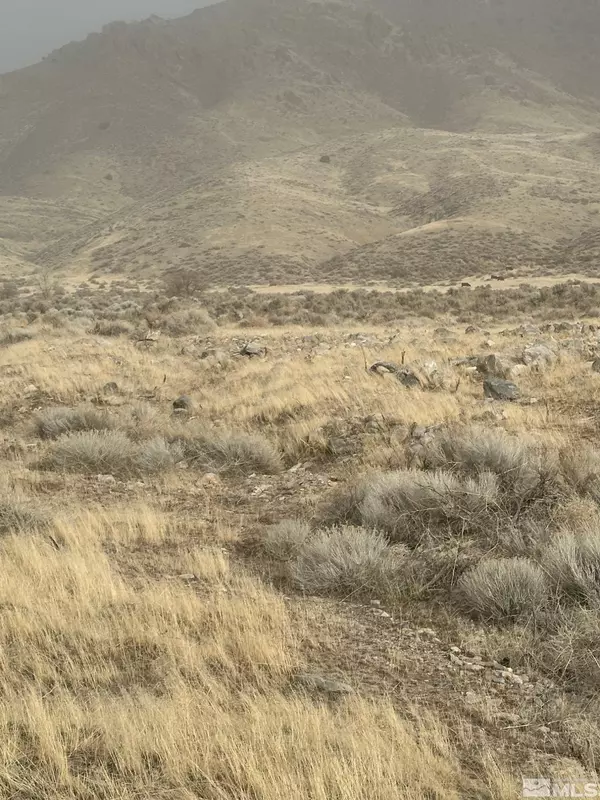 Lovelock, NV 89419,T29 Sec 15