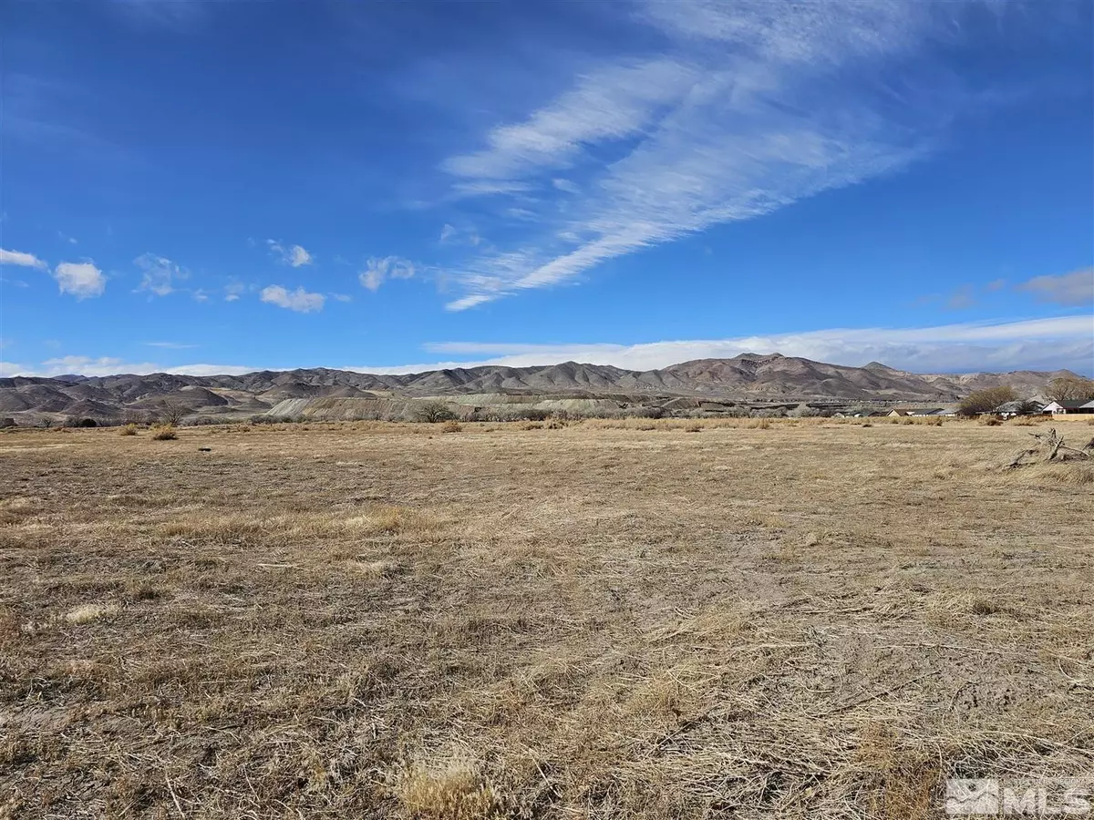 Yerington, NV 89447,13ac S Whitacre ST
