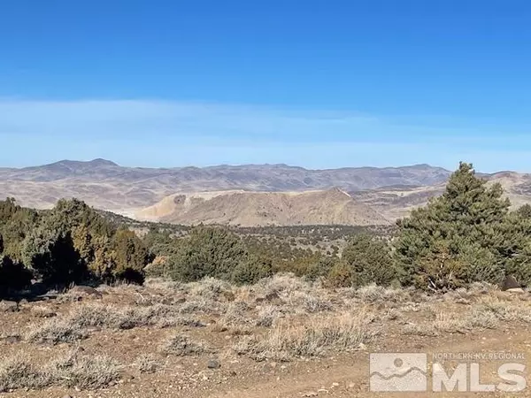Virginia City, NV 89521,40S NW4NW4-S16/18N/21E