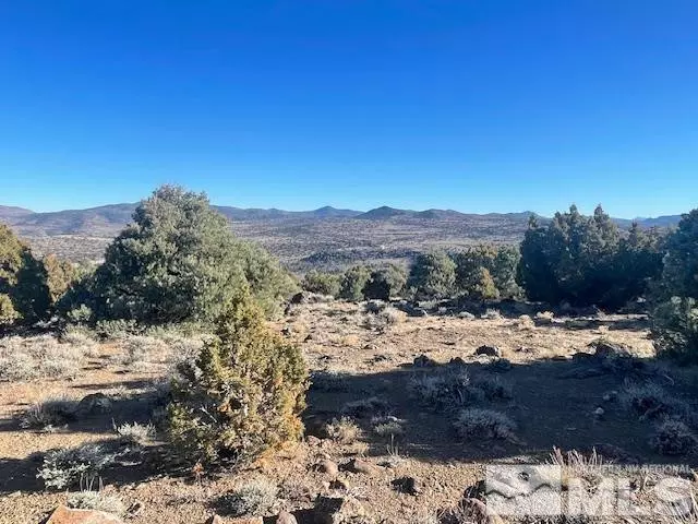 40S NW4NW4-S16/18N/21E, Virginia City, NV 89521