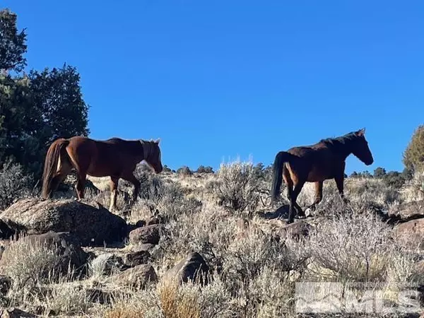 Virginia City, NV 89521,40S NW4NW4-S16/18N/21E