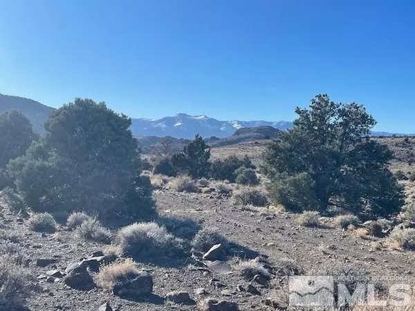 Virginia City, NV 89521,40S NW4NW4-S16/18N/21E