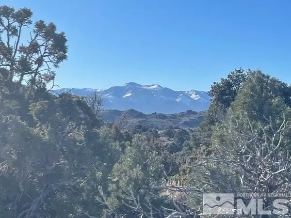 Virginia City, NV 89521,40S SW4NW4-S16/18N/21E