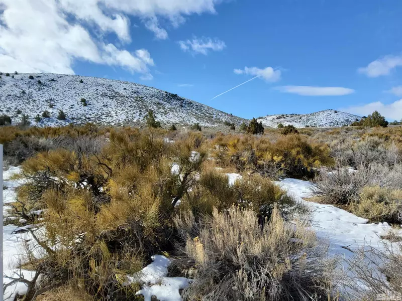 Reno, NV 89510