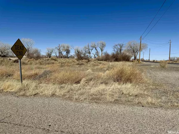 Fallon, NV 89406,2020 Blues CT