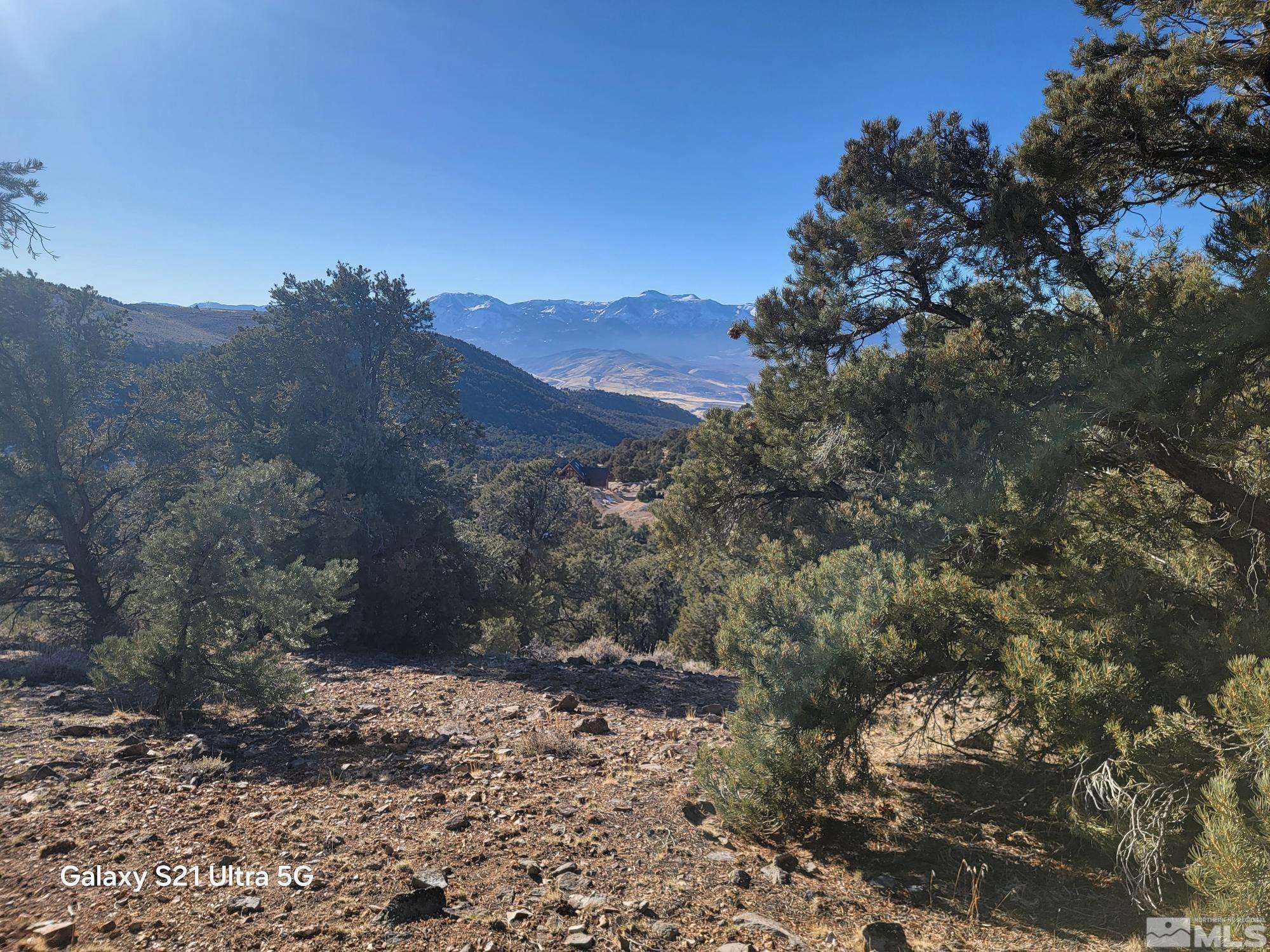 Reno, NV 89521,1450 Yellowjacket RD Road