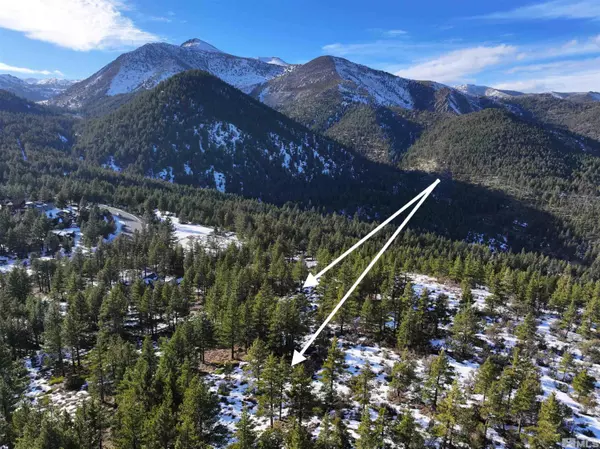 Reno, NV 89511,123 Mountain Haven