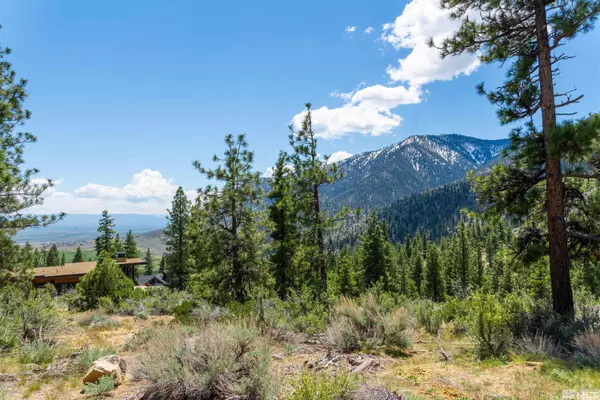 Carson City, NV 89705,183 Duane Bliss