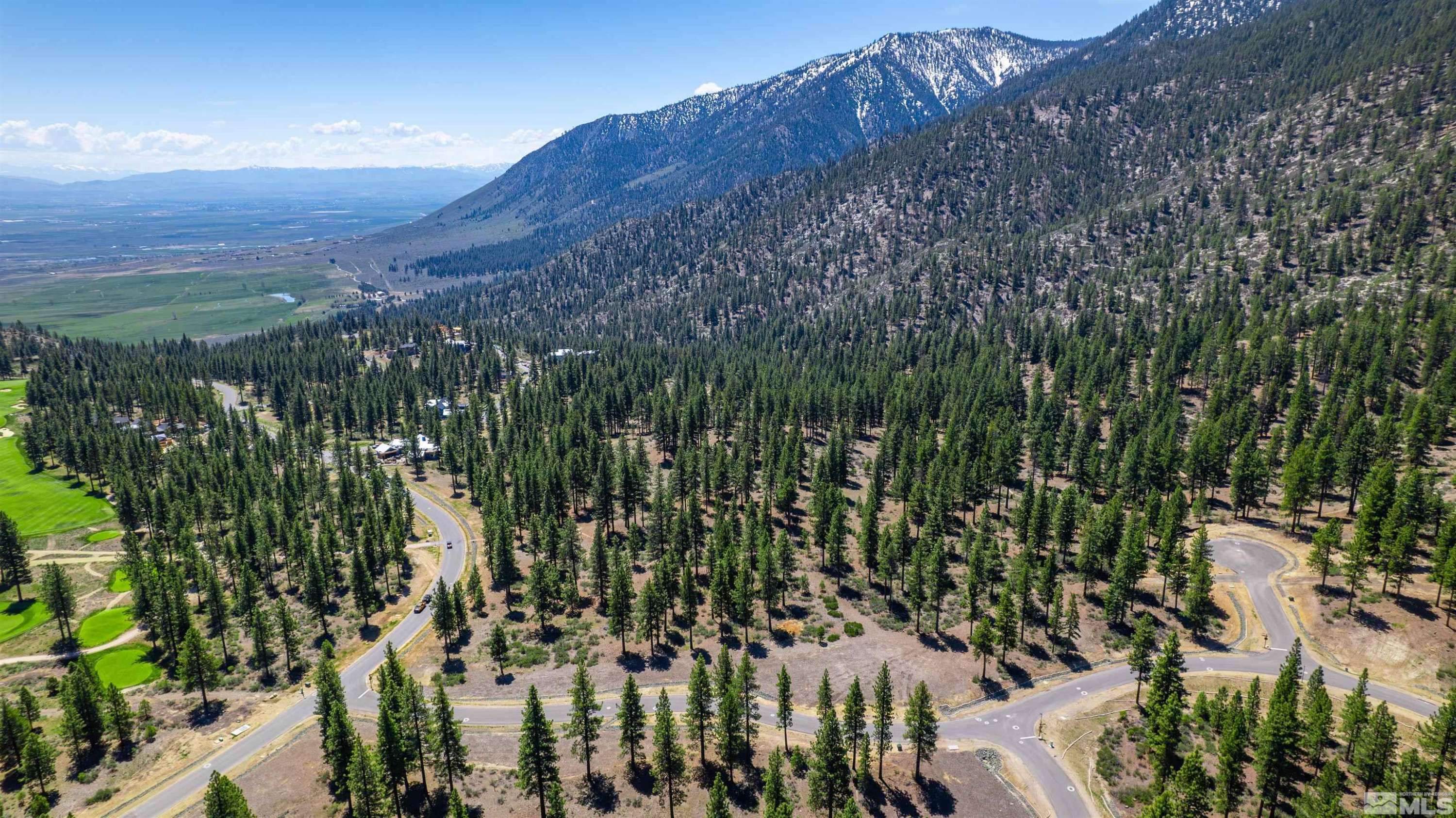Carson City, NV 89705,89 E Fork DR Drive