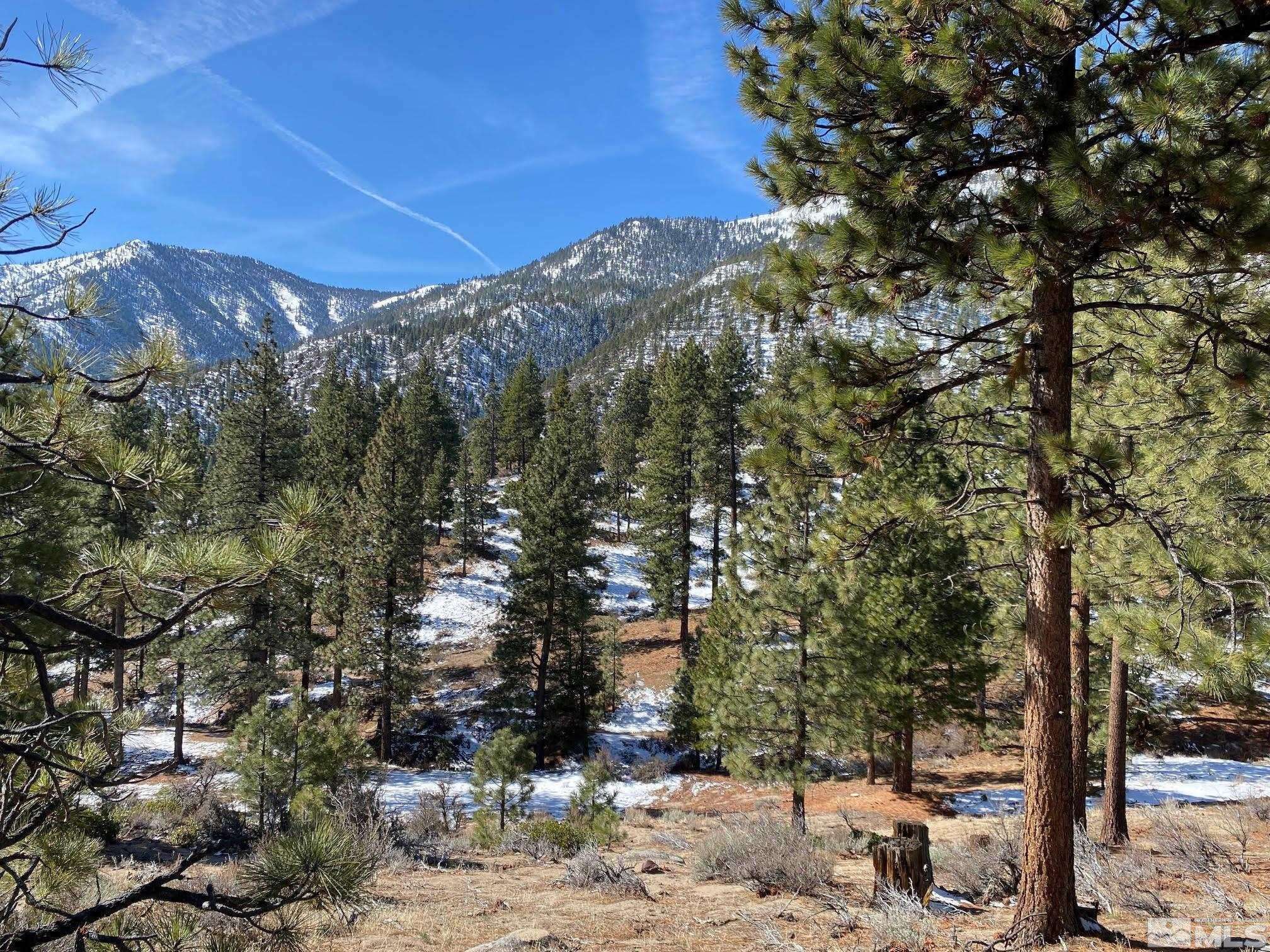 Carson City, NV 89705,180 Scenic Range CT Court