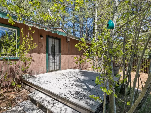 South Lake Tahoe, CA 96150,1713 Tionontati ST