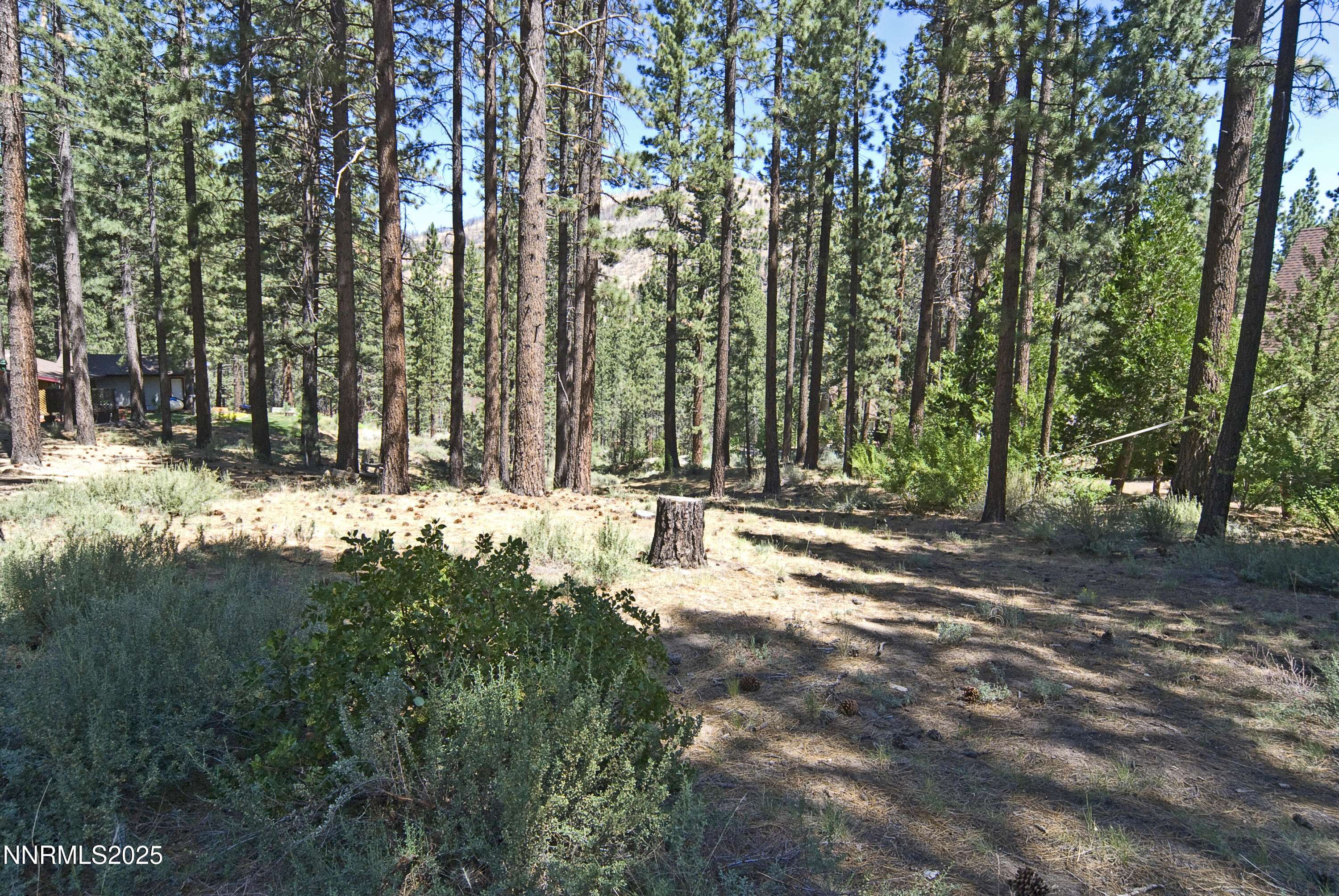 Markleeville, CA 96120,50 Pinon RD Road