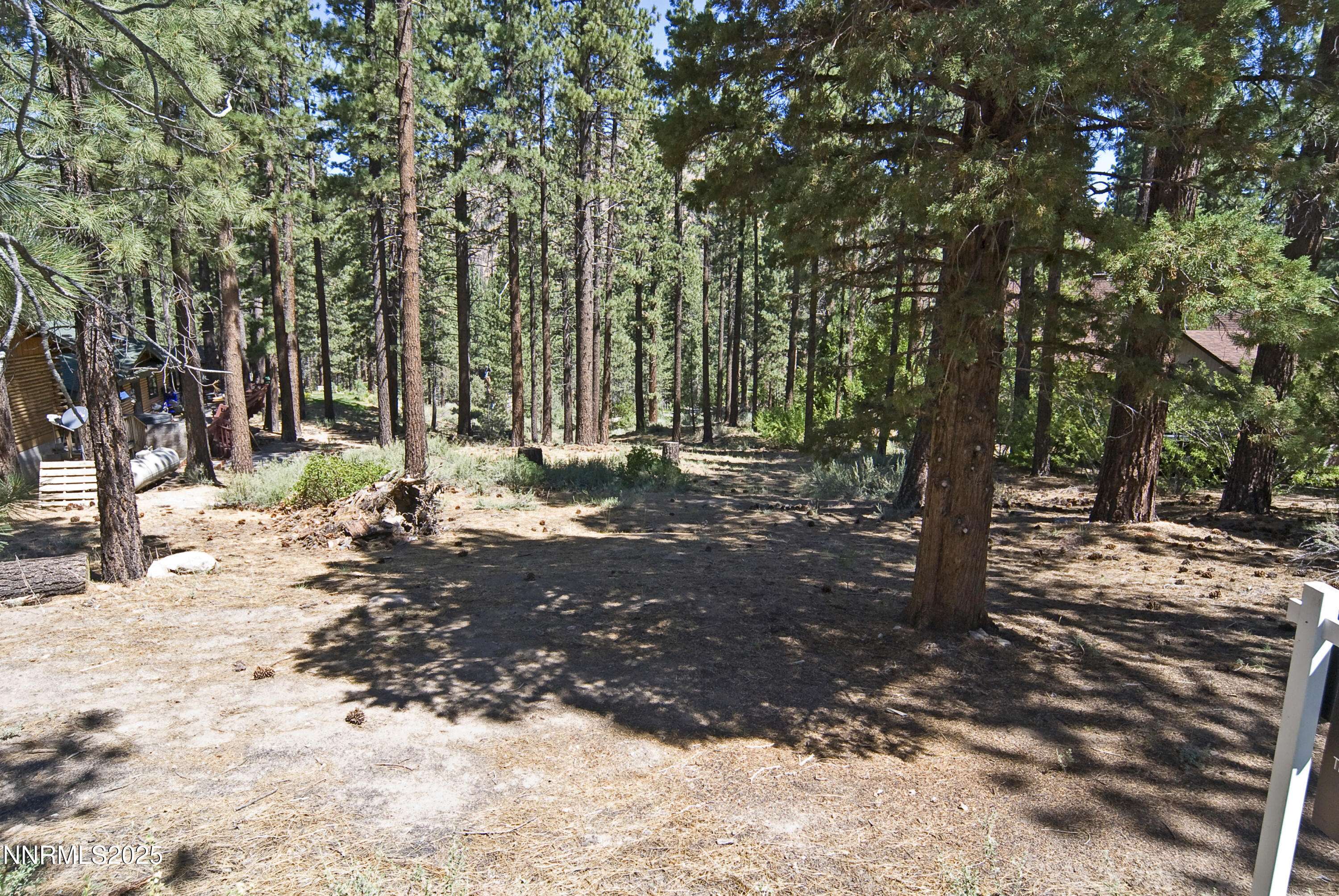 Markleeville, CA 96120,50 Pinon RD Road