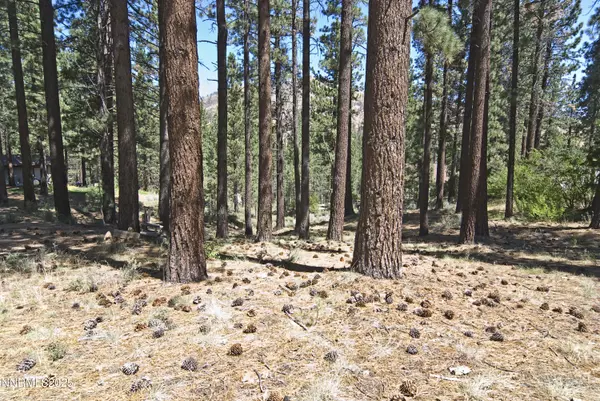 Markleeville, CA 96120,50 Pinon RD