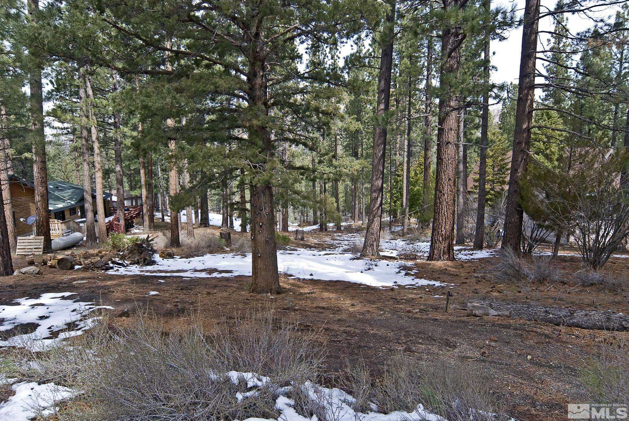 Markleeville, CA 96120,50 Pinon RD Road