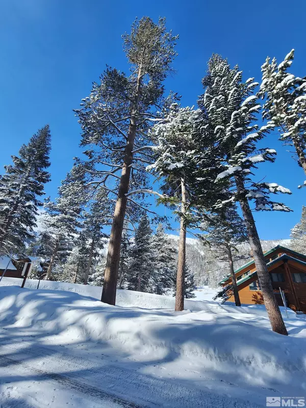 Markleeville, CA,529 E Meadows