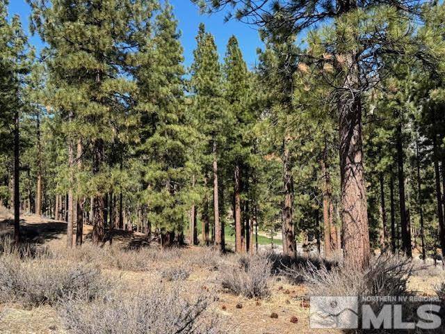 Carson City, NV 89705,194 Cartwright CT Court