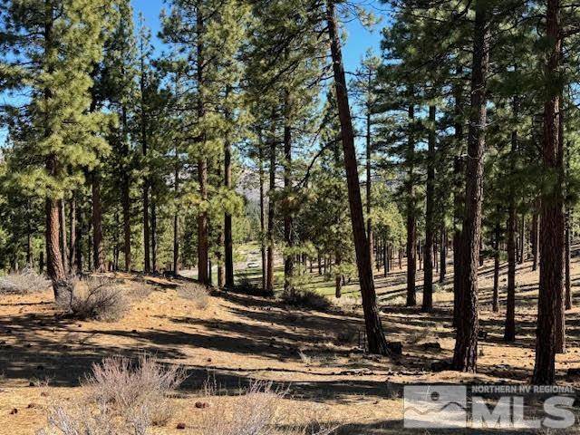 Carson City, NV 89705,194 Cartwright CT Court