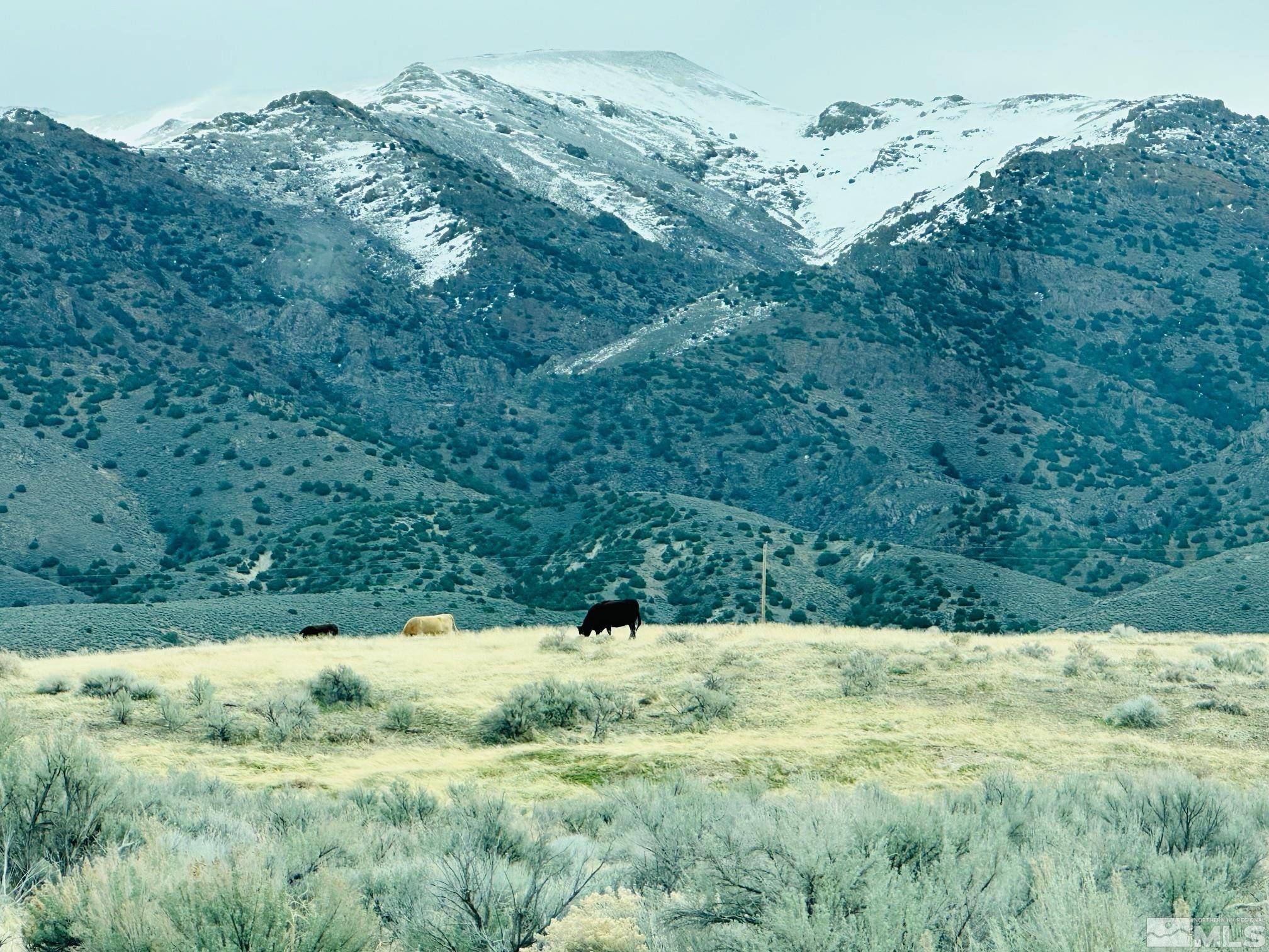 Lovelock, NV 89419,22025 Fall River DR Drive