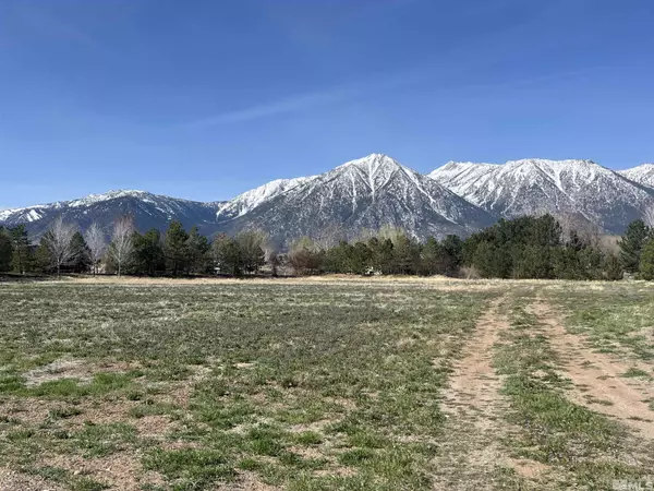 Gardnerville, NV 89460,950 Heavenly View CT Court