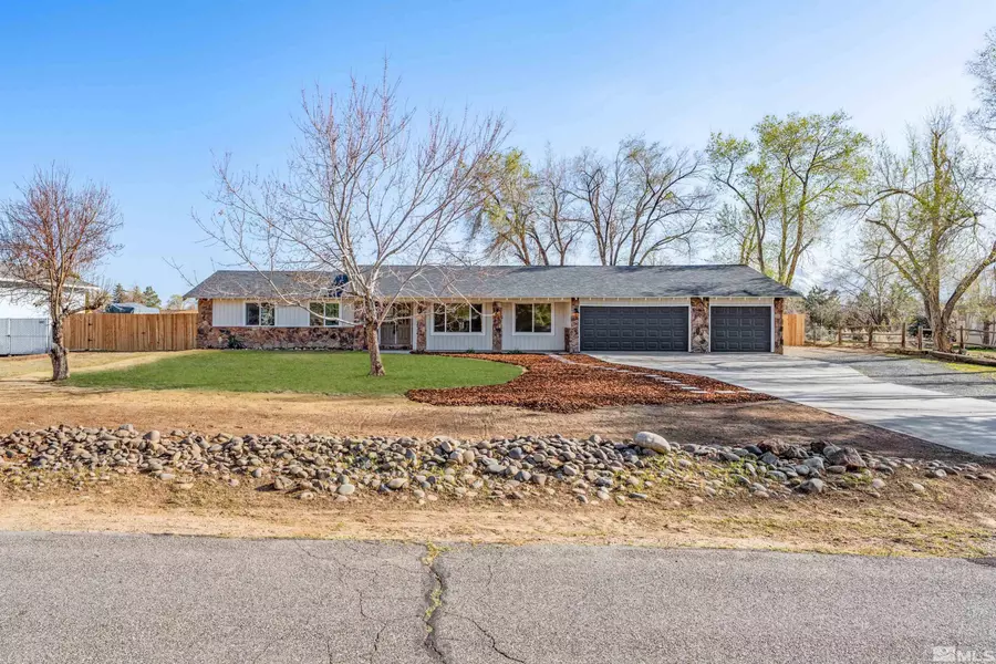 1309 Raeline LN, Minden, NV 89423