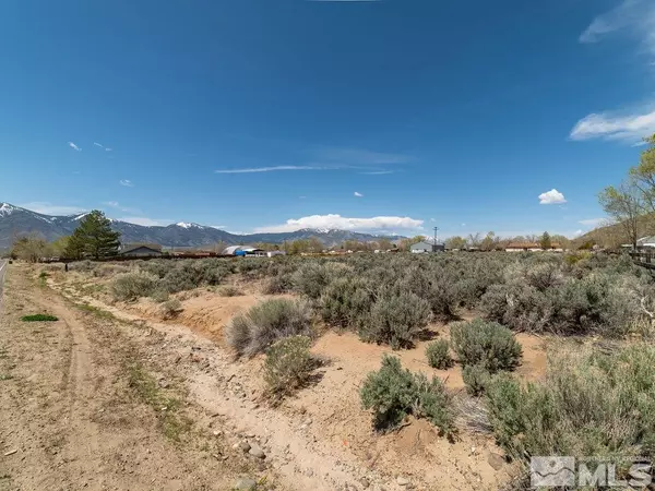 Minden, NV 89423,1356 Stephanie