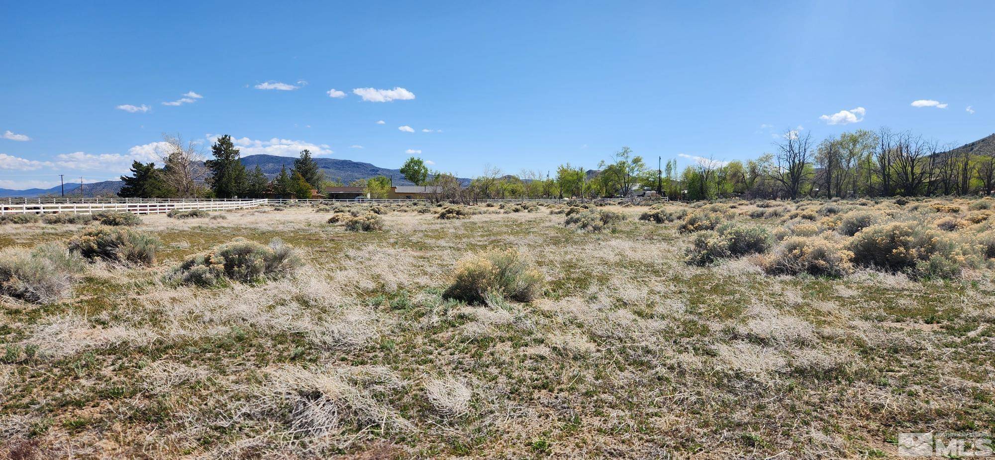 Wellington, NV 89444,231 Angelina CIR Circle