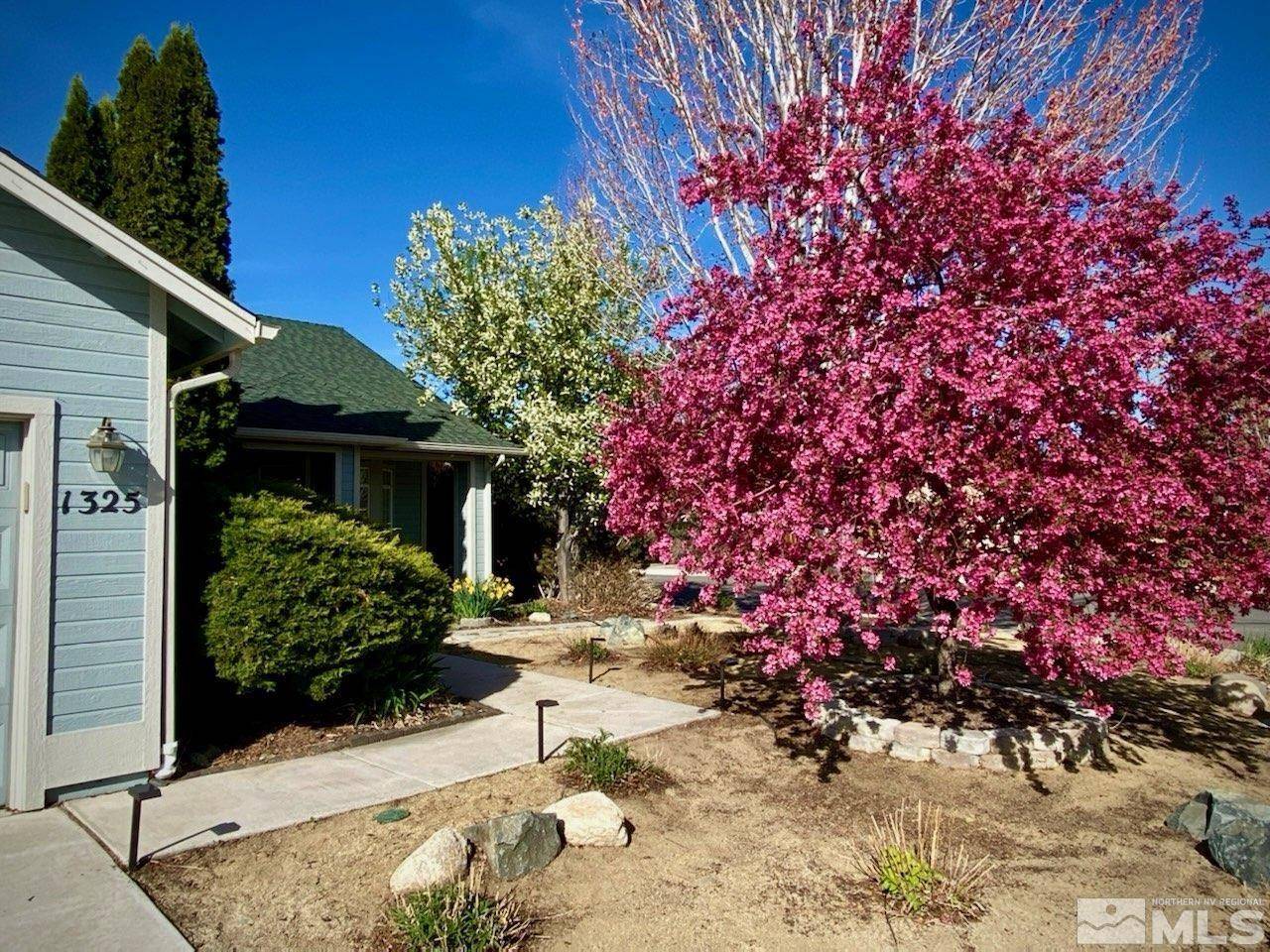 Gardnerville, NV 89410,1325 Brooke WAY Way