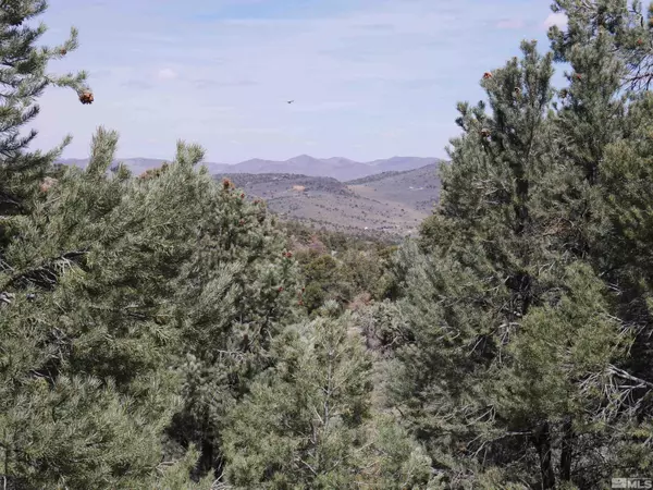 Reno, NV 89521,2165 Hermit RD