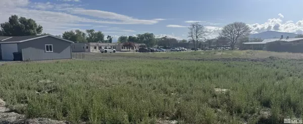 Lovelock, NV 89419,480 Camellia WAY