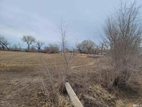 Fallon, NV 89406,900 Calkin / Rice Rd