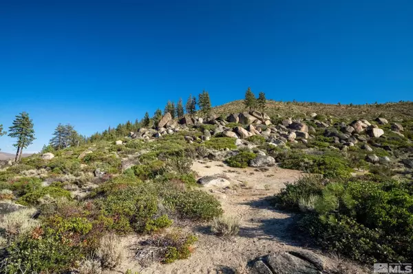 Washoe Valley, NV 89704,00 Franktown RD