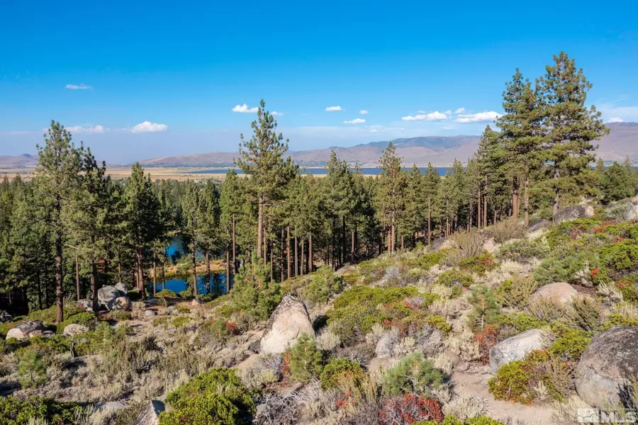 00 Franktown RD Road, Washoe Valley, NV 89704
