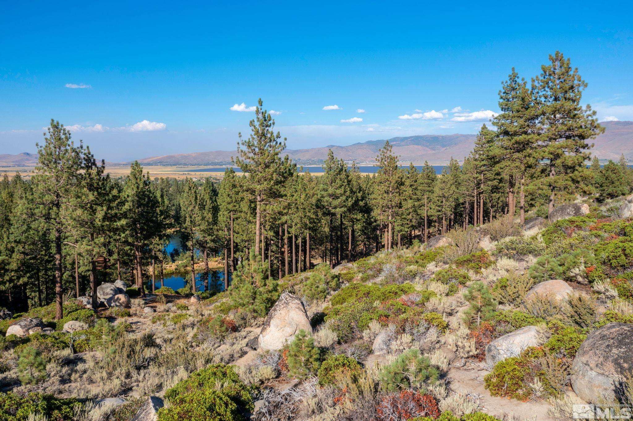 00 Franktown RD Road, Washoe Valley, NV 89704