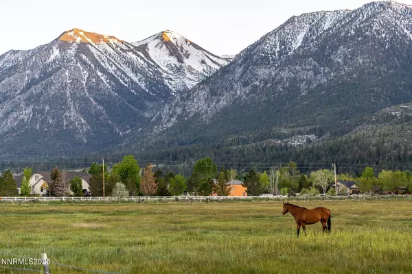 Gardnerville, NV 89460,320 Mottsville