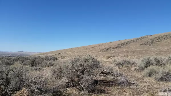 Winnemucca, NV 89445,0 Lupine DR