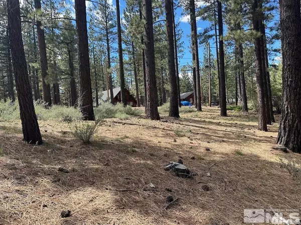 Markleeville, CA 96120,546 Pleasant Valley