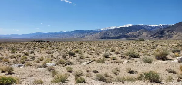 Dyer, NV 89010,810 Chiatovich Creek RD Road