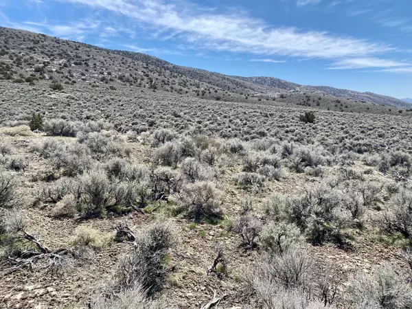Lovelock, NV 89419,25200 Ramsey RD Road #37