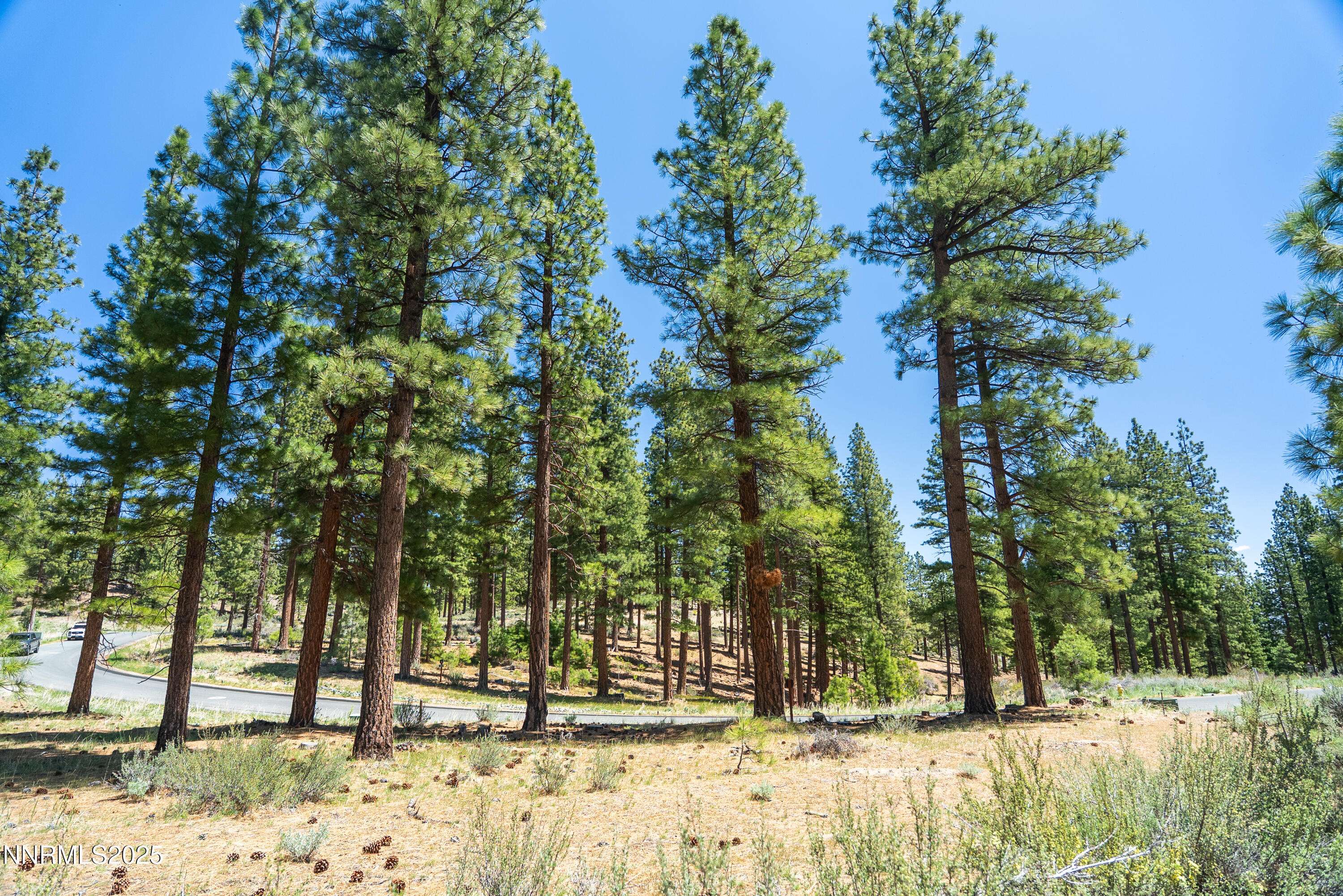 Carson City, NV 89705,46 Boulder Bend DR Drive